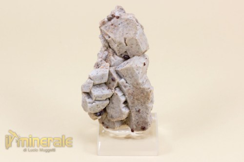 MN1851-2_minerali_collezione_granati_spessartina_albite_ortoclasio.logo