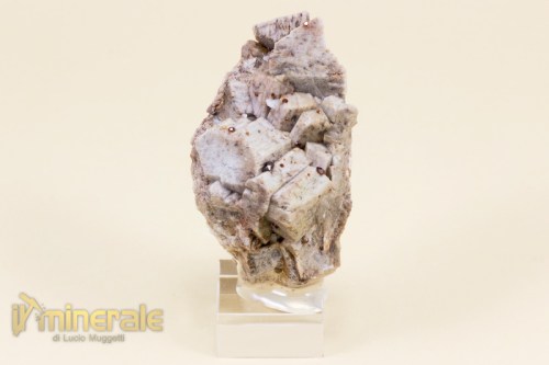 MN1853-2_minerali_collezione_granati_spessartina_albite_ortoclasio.logo