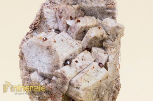 MN1853-3_minerali_collezione_granati_spessartina_albite_ortoclasio.logo