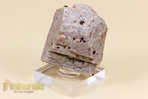 MN1858-2_minerali_collezione_granati_spessartina_albite_ortoclasio.logo
