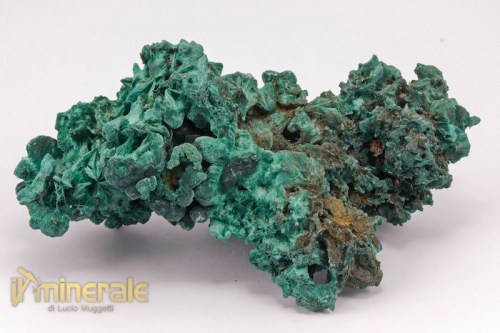 MN1986-2_minerali_collezione_carbonati_malachite_feltrata.logo