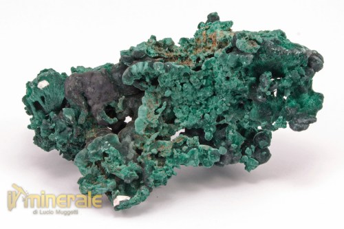 MN1986-3_minerali_collezione_carbonati_malachite_feltrata.logo