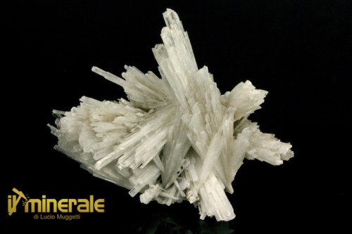 MN2066-1_minerali_collezione_zeoliti_scolecite_india.logo
