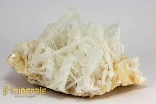 MN2067-2_minerali_collezione_zeoliti_scolecite_india.logo