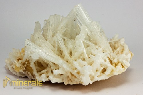 MN2067-3_minerali_collezione_zeoliti_scolecite_india.logo