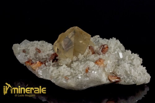 MN2070-1_minerali_collezione_calcite_apofillite_stilbite_calcedonio_quarzo_india.logo