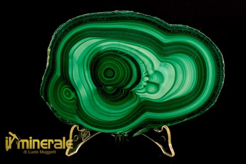 MN2082-1_minerali_collezione_carbonati_malachite_congo.logo