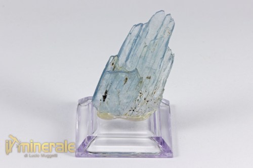 MN2103-2_minerali_collezione_barite_azzurra_marocco.logo