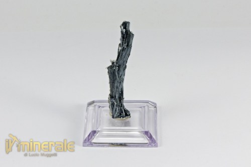 MN2109-2_minerali_collezione_solfuri_antimonite_stibina_romania.logo