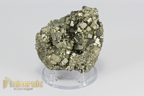 MN2123-2_minerali_collezione_metallici_solfuri_pirite.logo