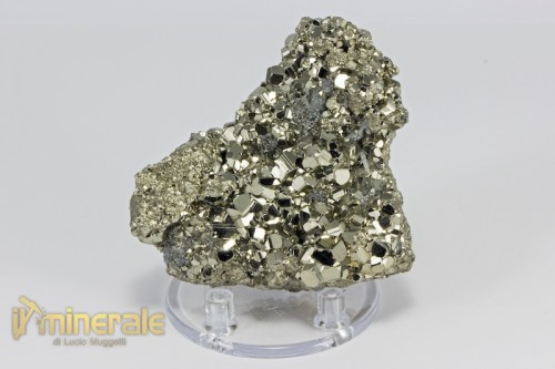 MN2124-2_minerali_collezione_metallici_solfuri_pirite.logo
