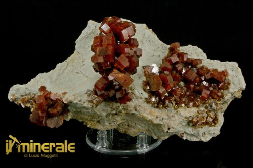 MN2138-1_minerali_collezione_vanadinite_marocco.logo