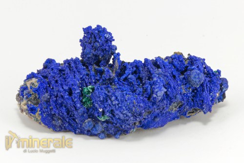 MN2249-2_minerali_collezione_carbonati_azzurrite_malachite.logo