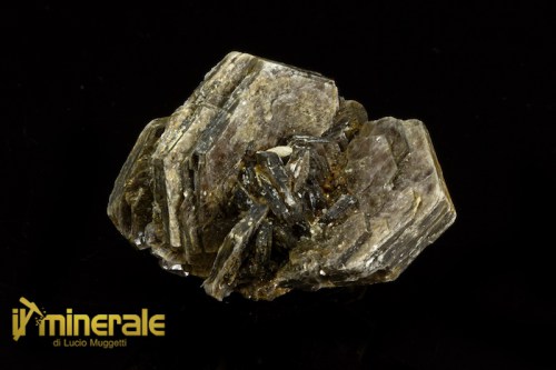 MN2372-1_minerali_collezione_silicati_mica_muscovite.logo