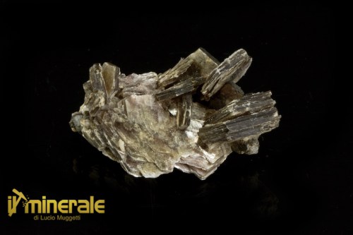 MN2375-1_minerali_collezione_silicati_mica_muscovite.logo