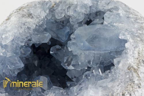 MN2377-3_minerali_collezione_cristalli_solfati_celestina.logo