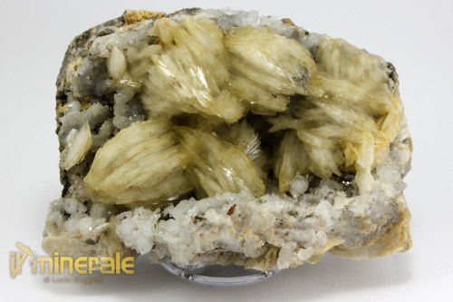 MN2381-2_minerali_collezione_barite_pirite_quarzo_marocco.logo