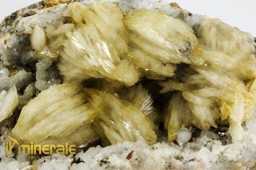 MN2381-3_minerali_collezione_barite_pirite_quarzo_marocco.logo