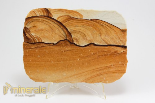 MN2387-2_minerali_collezione_paesina_arenaria.logo