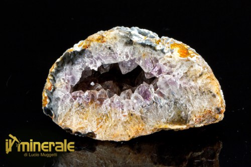 MN2397-1_minerali_collezione_geode_agata_ametista.logo