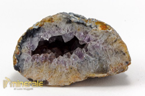 MN2397-2_minerali_collezione_geode_agata_ametista.logo