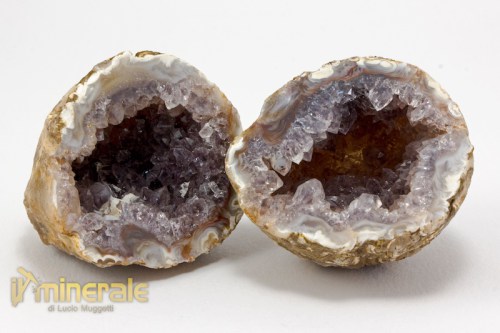 MN2400-2_minerali_collezione_geode_agata_ametistino.logo