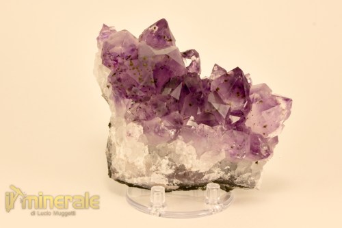 MN2478-2_minerali_collezione_arredamento_ametista_brasile
