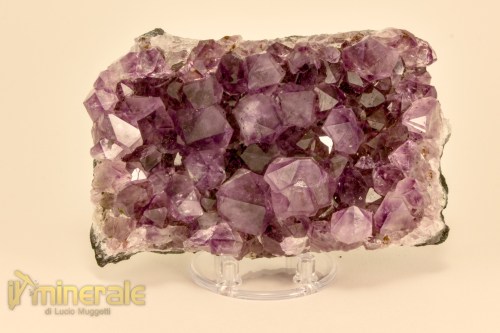 MN2480-2_minerali_collezione_arredamento_ametista_brasile