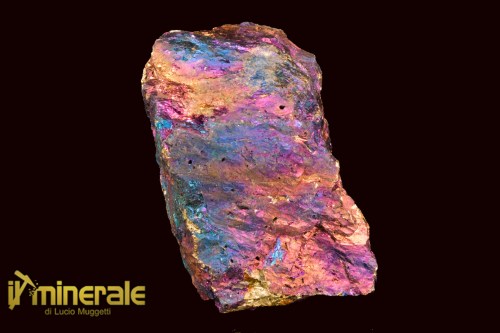 MN2487-1_minerali_collezione_calcopirite_erubescite_messico