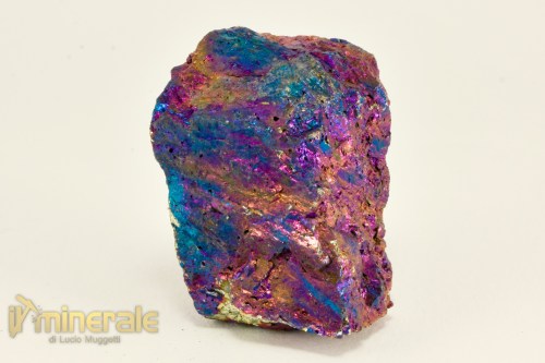 MN2487-2_minerali_collezione_calcopirite_erubescite_messico