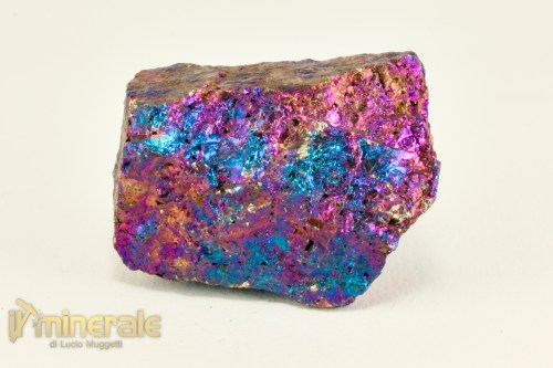MN2487-3_minerali_collezione_calcopirite_erubescite_messico