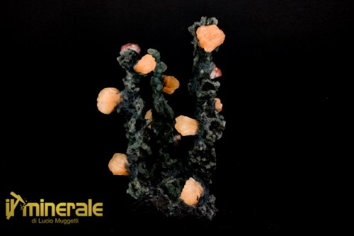 MN2526-1_minerali_collezione_calcedonio_stellerite_calcite_india