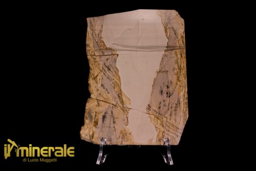 MN2530-1_minerali_collezione_pietre_lucidate_paesina_calcare_ruiniforme_trebbia