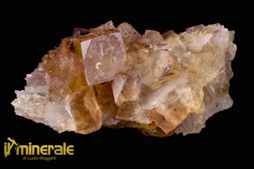 MN2531-1_Minerali_collezione_fluorite_marocco