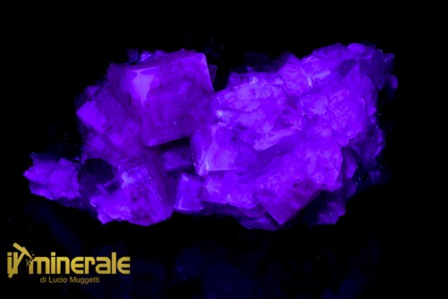 MN2531-2_Minerali_collezione_fluorite_marocco