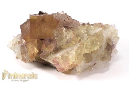 MN2531-3_Minerali_collezione_fluorite_marocco
