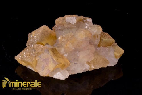 MN2532-1_Minerali_collezione_fluorite_marocco