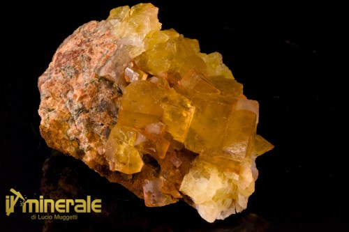 MN2533-1_Minerali_collezione_fluorite_marocco