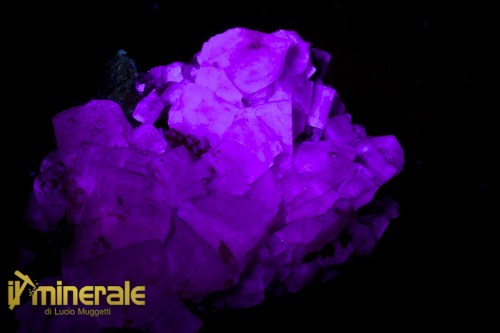 MN2533-2_Minerali_collezione_fluorite_marocco