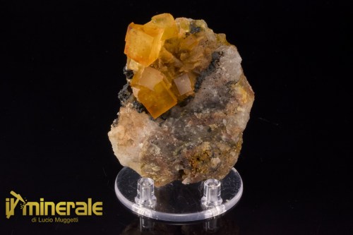 MN2534-1_Minerali_collezione_fluorite_marocco