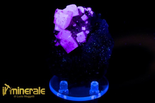 MN2534-2_Minerali_collezione_fluorite_marocco