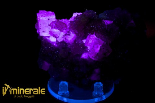 MN2536-2_Minerali_collezione_fluorite_marocco