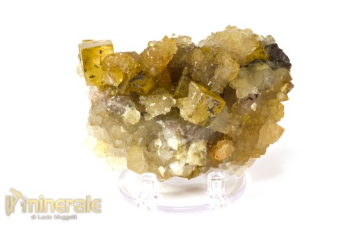 MN2536-3_Minerali_collezione_fluorite_marocco