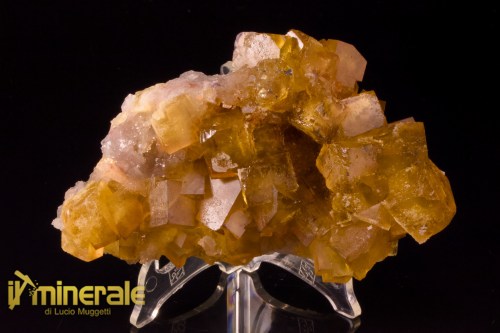 MN2538-1_Minerali_collezione_fluorite_marocco