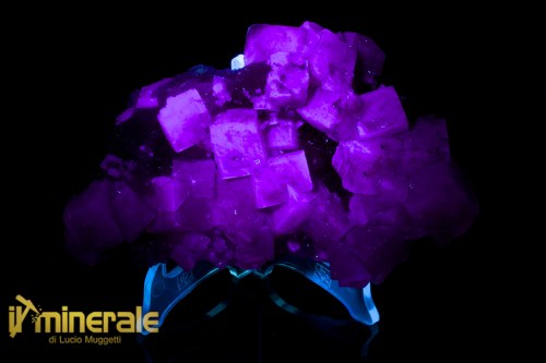 MN2538-2_Minerali_collezione_fluorite_marocco