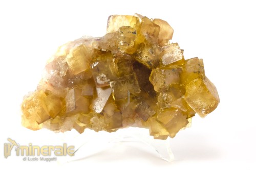 MN2538-3_Minerali_collezione_fluorite_marocco