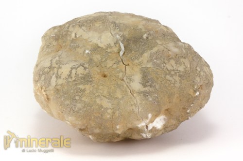 MN2544-3_minerali_collezione_geodi_calcite_quarzo_marocco