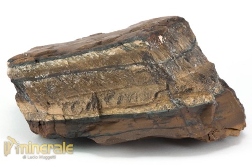 MN2557-2_minerali_collezione_occhio_di_tigre_sudafrica