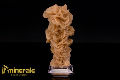 MN2566-1_minerali_collezione_arredamanto_slfati_rosa_del_deserto