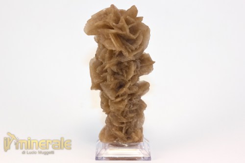 MN2566-2_minerali_collezione_arredamanto_slfati_rosa_del_deserto